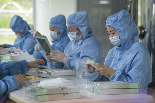 有綠、有技、有特色 鄉(xiāng)村振興新活力中的生物科技力量