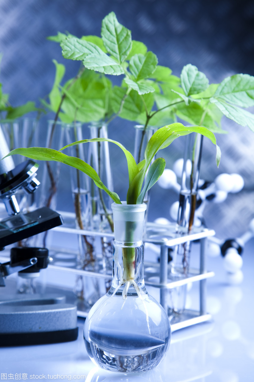 實驗室中的自然詩篇 當生物科技遇見植物生長
