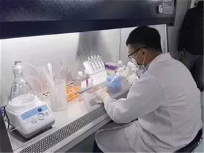 博隆基因 打造國家級基因工程抗體研究中心，助推生物科技研究邁上新臺階
